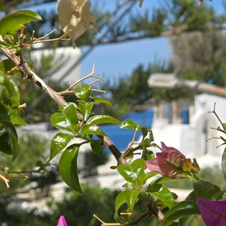 Majestic House In The Heart Of Mykonos Apartamento